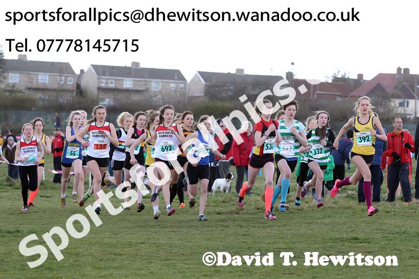 Under-15 girls  NEHL Wrekenton, Gateshead. 2014 NEH, Wrekenton. Photo: David T. Hewitson/Sports for All Pics